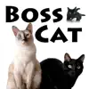 N2 Cat Crew - Boss Cat